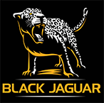 BLACK JAGUAR